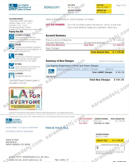 USA LA DWP utility bill Word and PDF template